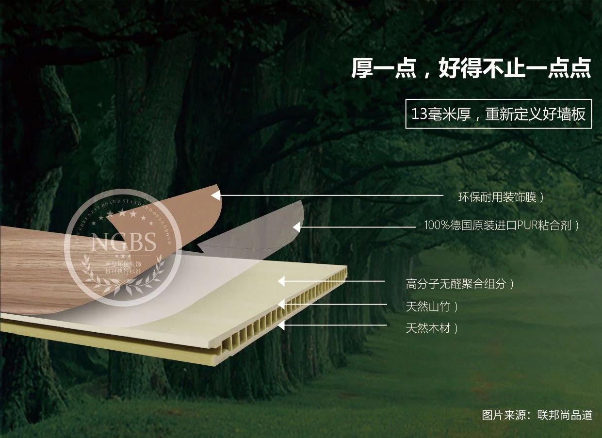 聯邦尚品道 集成墻面 頂墻集成 兒童房