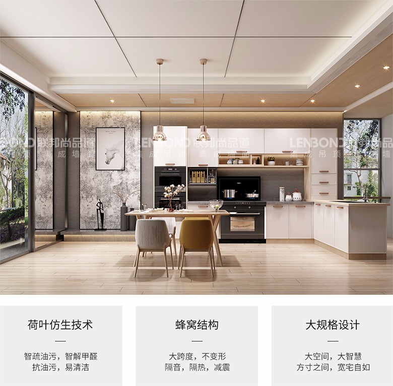 聯邦尚品道吊頂墻面