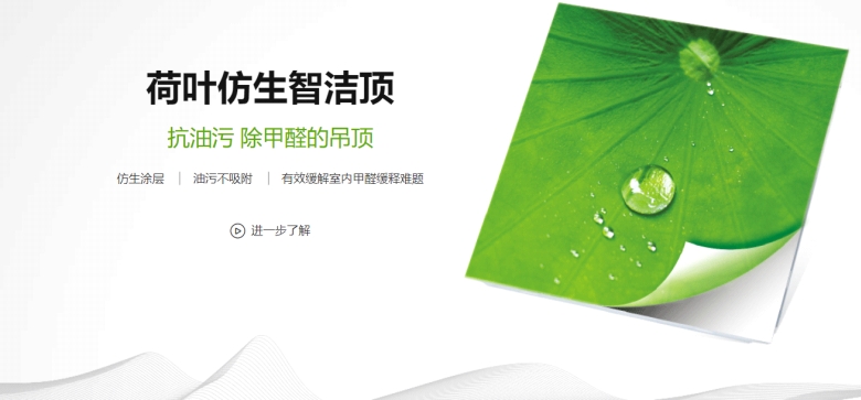 荷葉仿生智潔頂.jpg