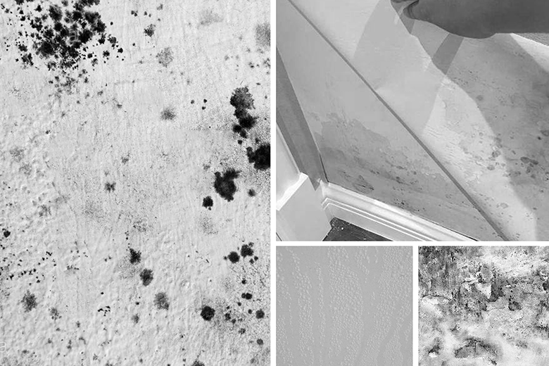 源木實心集成墻板