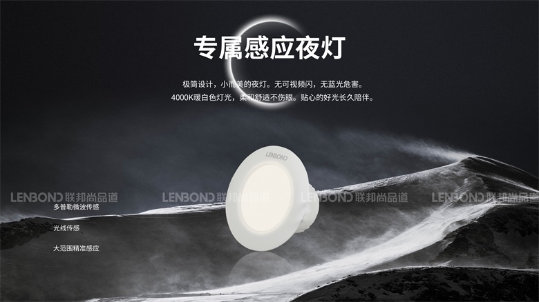 V3-專屬感應(yīng)燈.jpg