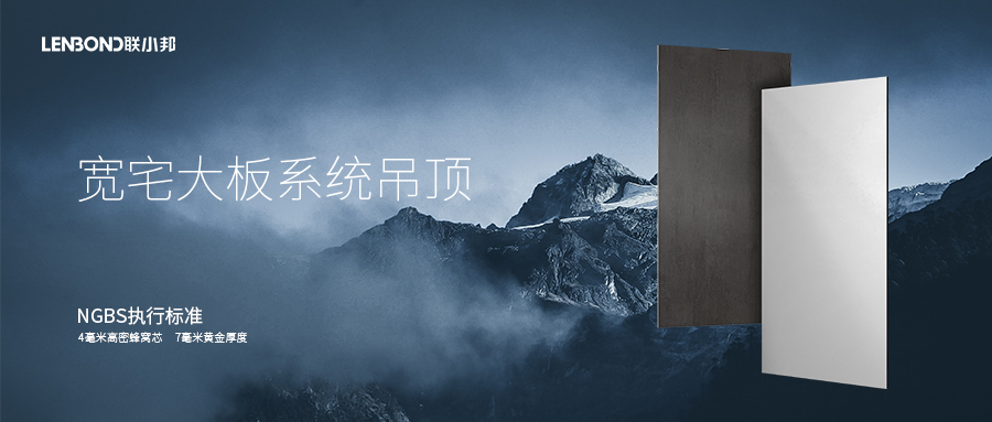 聯小邦系統吊頂