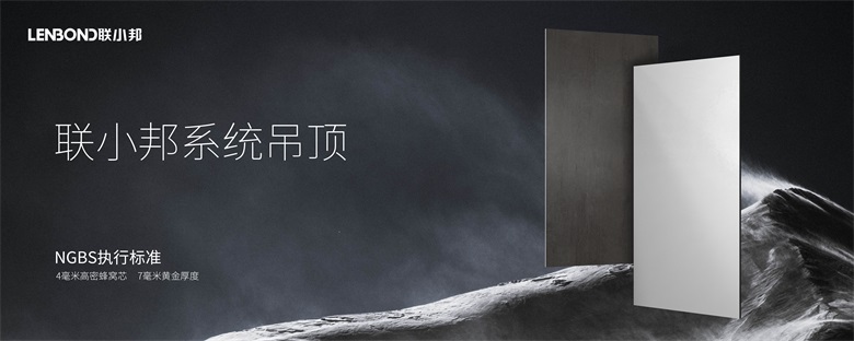 聯小邦系統吊頂.jpg 聯小邦系統吊頂.jpg