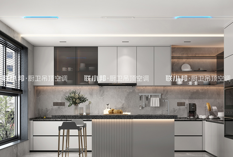 廚房專用空調(diào)效果圖 廚房專用空調(diào)效果圖